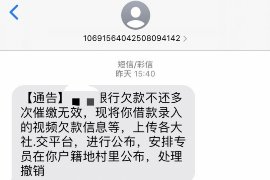 益阳为什么选择专业追讨公司来处理您的债务纠纷？